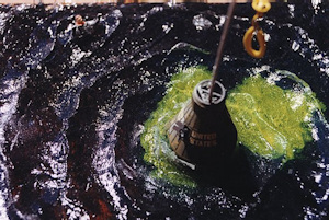 The Loss of Liberty Bell 7 - detail